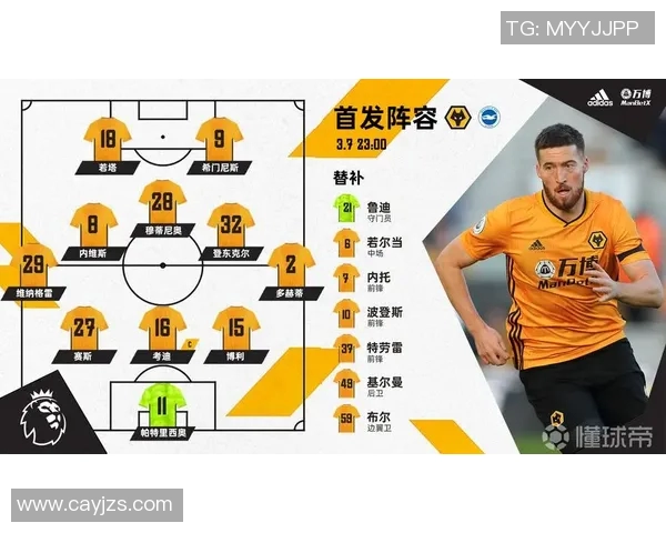 狼队与布莱顿对决分析双方近期状态及战术布置探讨