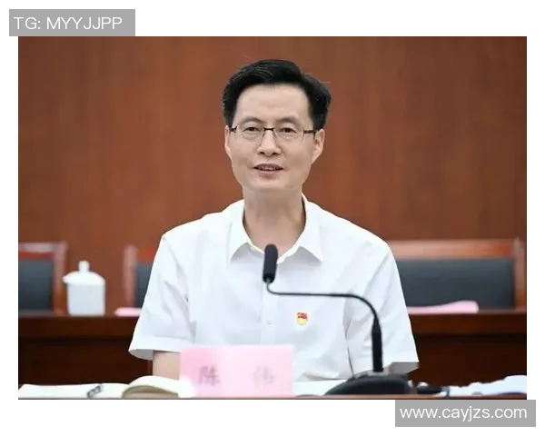 飞盘运动的崛起与发展专访陈伟揭示成功背后的秘密与经验MBA